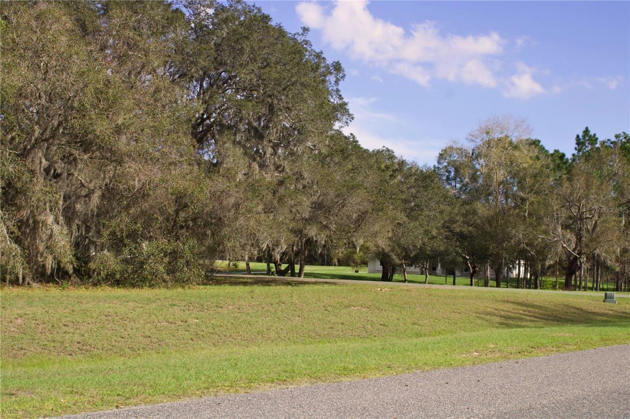 Silent Ridge Drive, Lot #47, Tavares, FL 32778 Photo