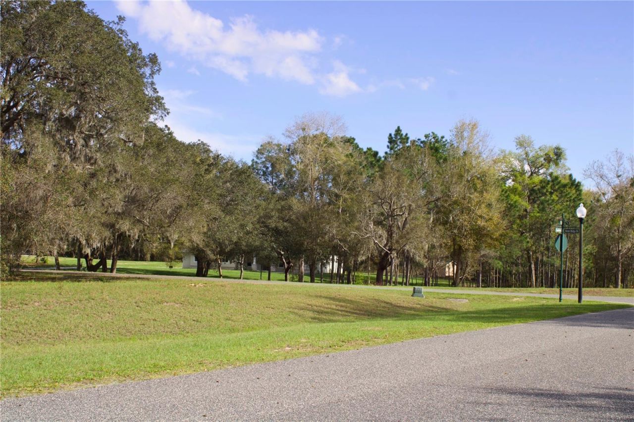 Silent Ridge Drive, Lot #47, Tavares, FL 32778 Photo