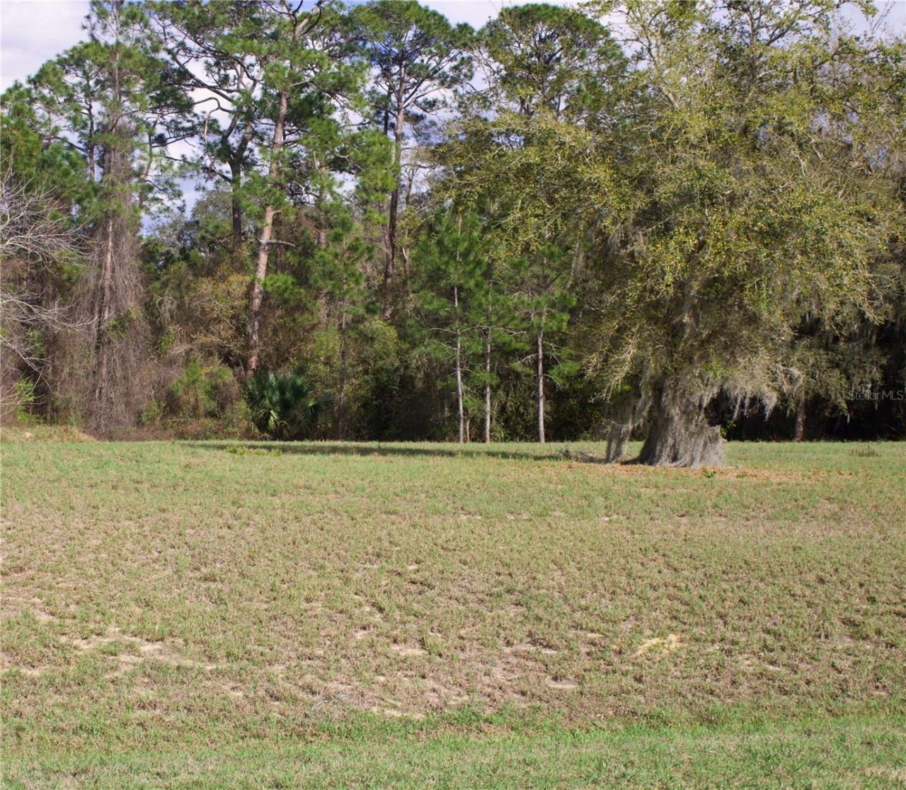 Silent Ridge Drive, Lot #47, Tavares, FL 32778 Photo