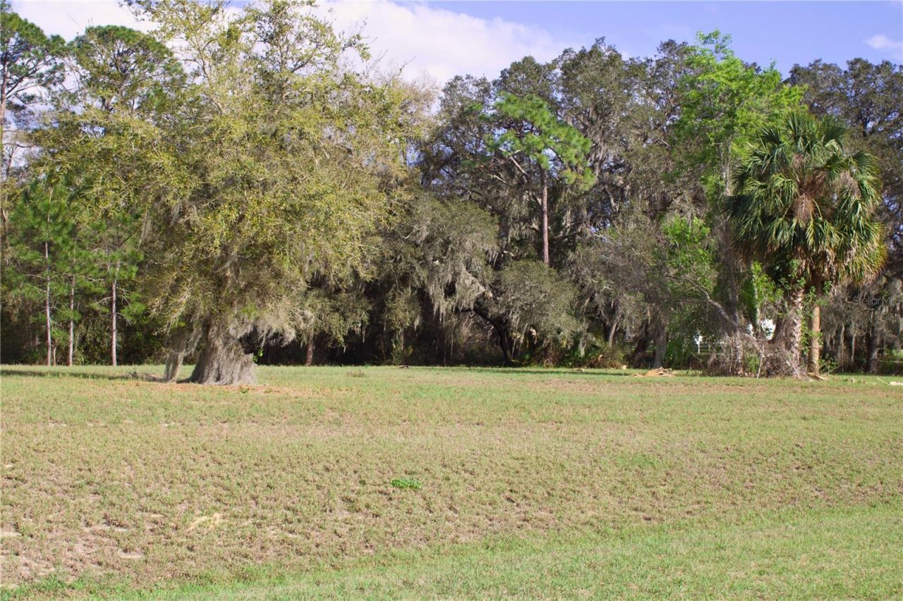 Silent Ridge Drive, Lot #47, Tavares, FL 32778 Photo