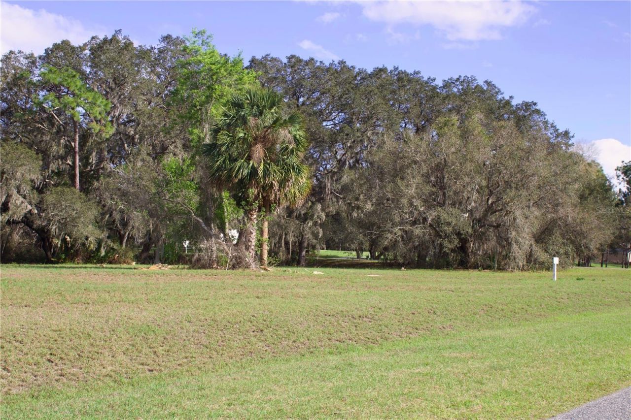 Silent Ridge Drive, Lot #47, Tavares, FL 32778 Photo