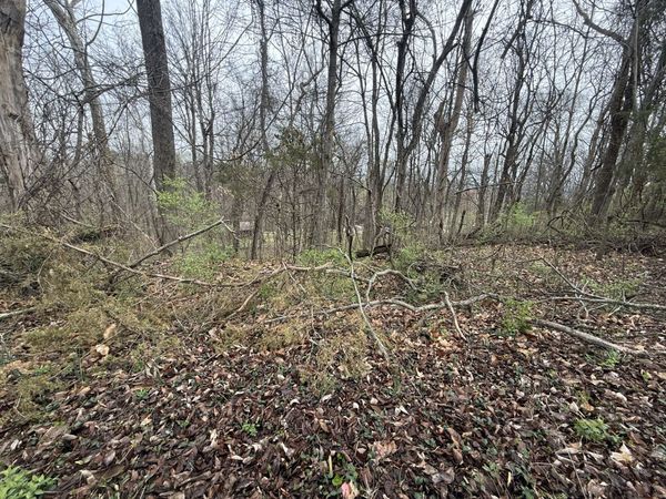 1915 Appomattox Dr , Lebanon, TN 37087