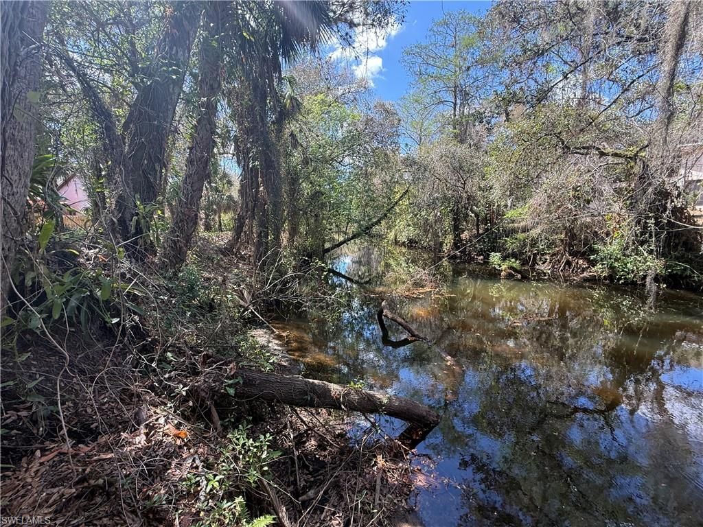 18670 Telegraph Creek Ln, Alva, FL 33920 Photo