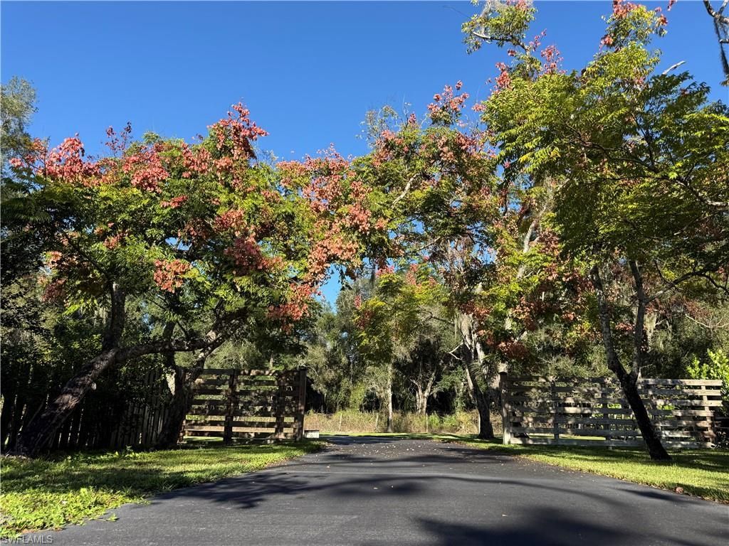 18670 Telegraph Creek Ln, Alva, FL 33920 Photo