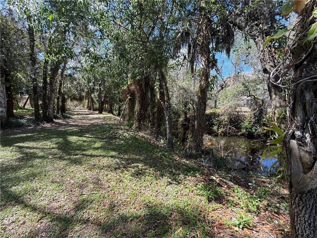 18670 Telegraph Creek Ln, Alva, FL 33920 Photo