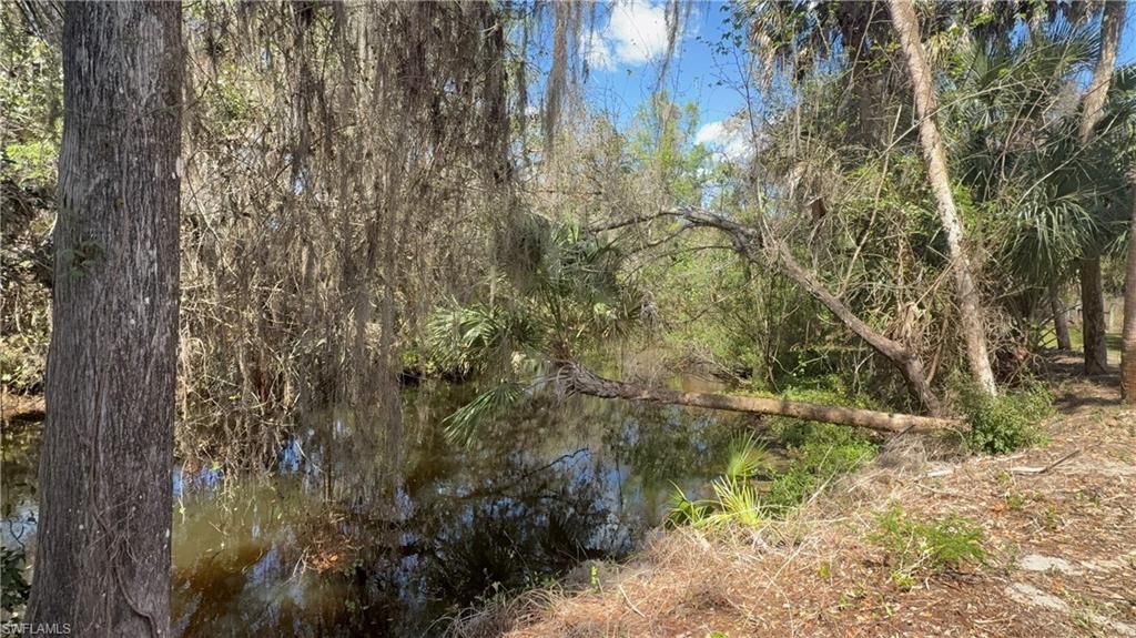 18670 Telegraph Creek Ln, Alva, FL 33920 Photo