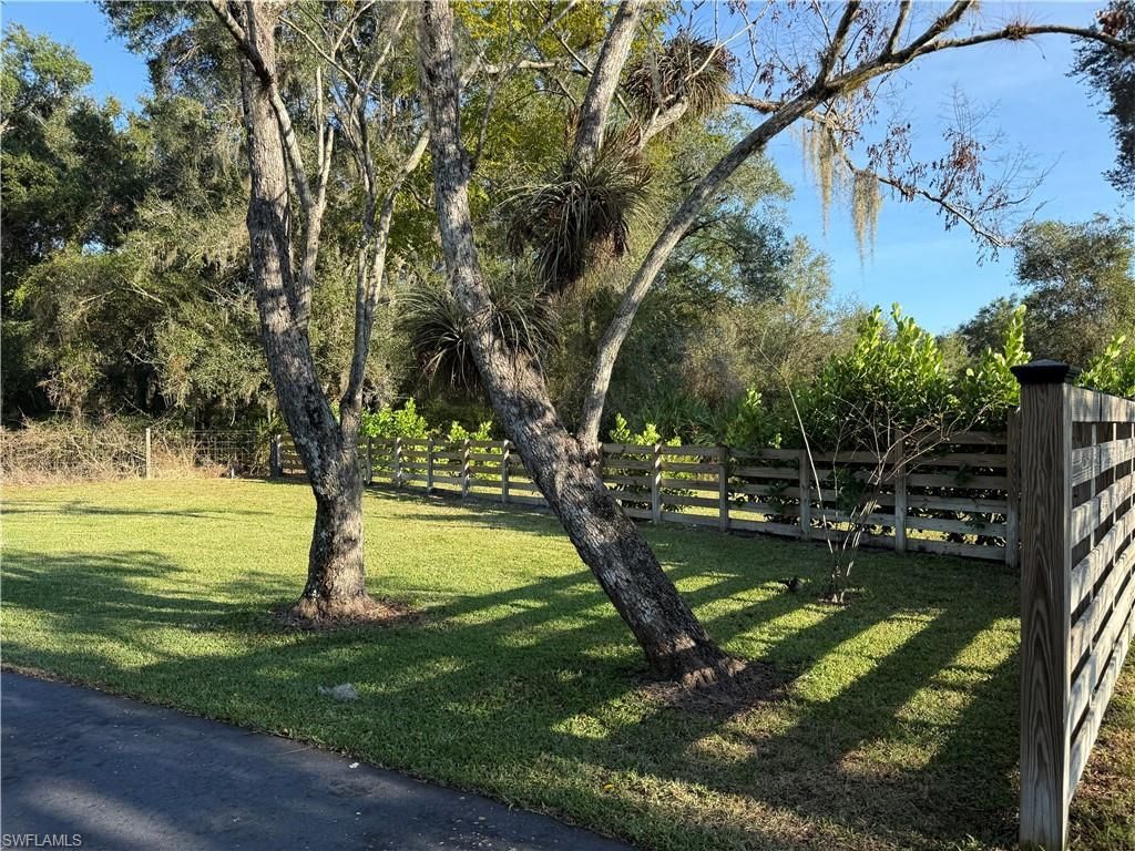 18670 Telegraph Creek Ln, Alva, FL 33920 Photo