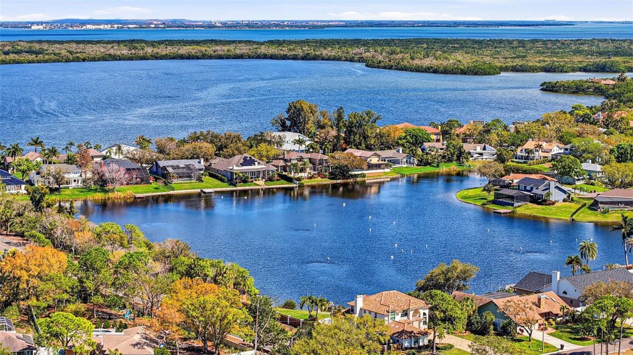 301 81st Avenue Ne, Saint Petersburg, FL 33702 Photo