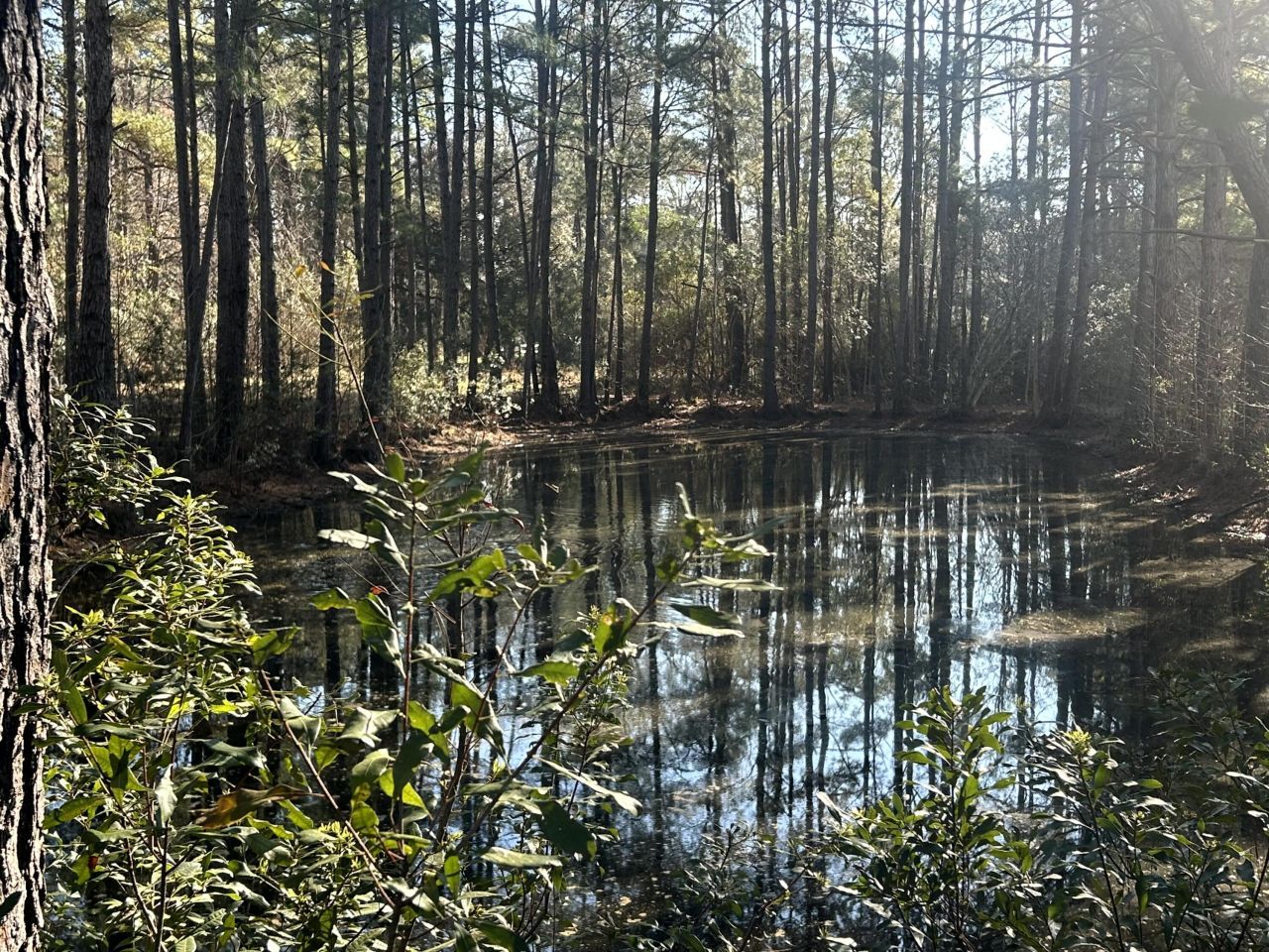 5933 Dixie Plantation Road Photo 28