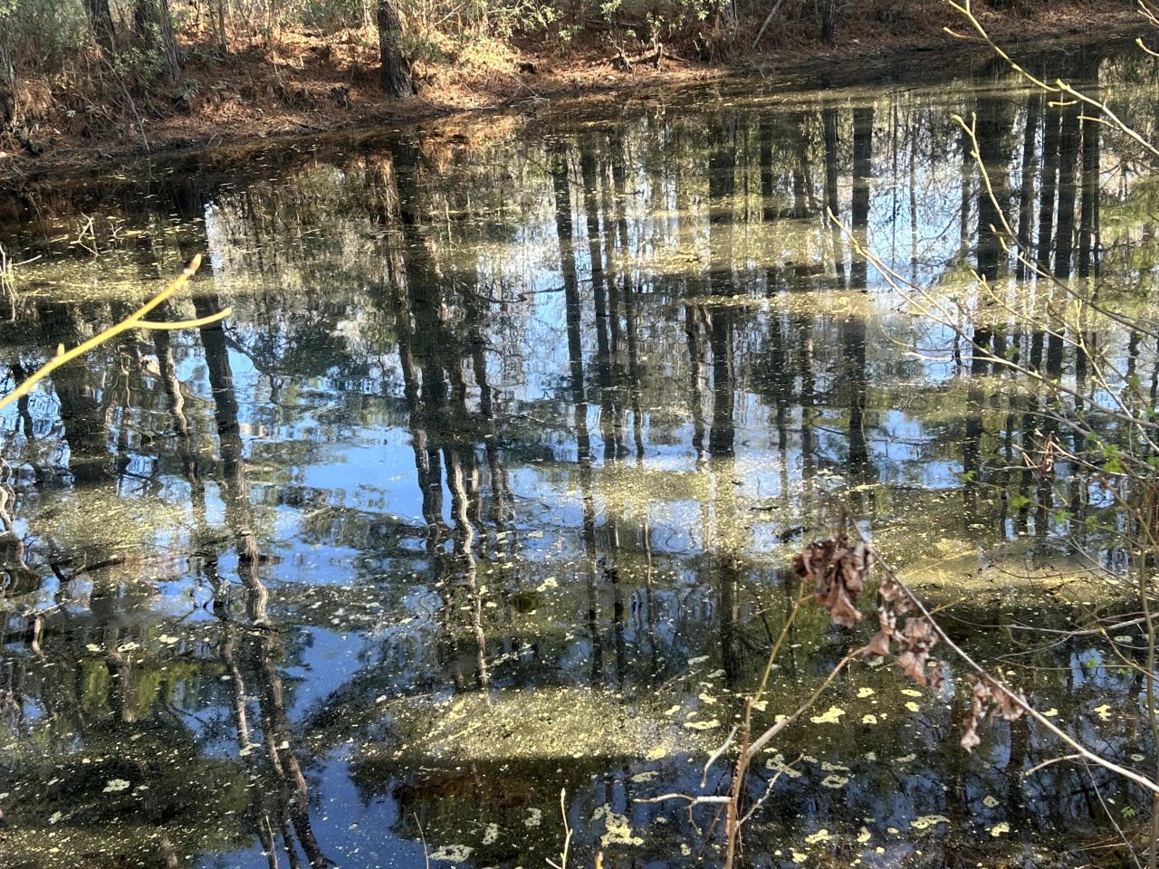 5933 Dixie Plantation Road Photo 29