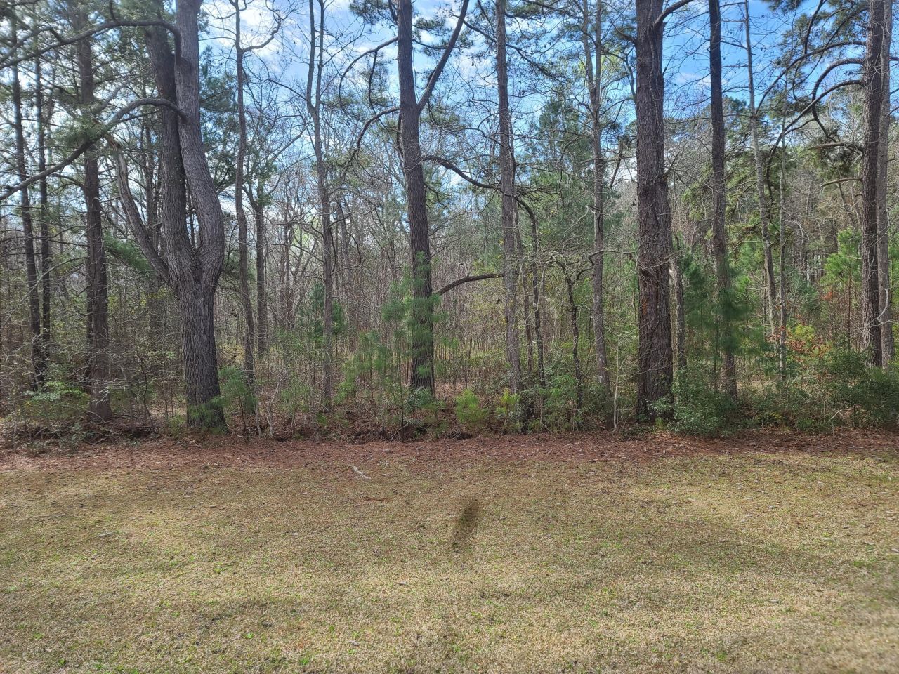 5933 Dixie Plantation Road Photo 3