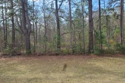 5933 Dixie Plantation Road photo 4