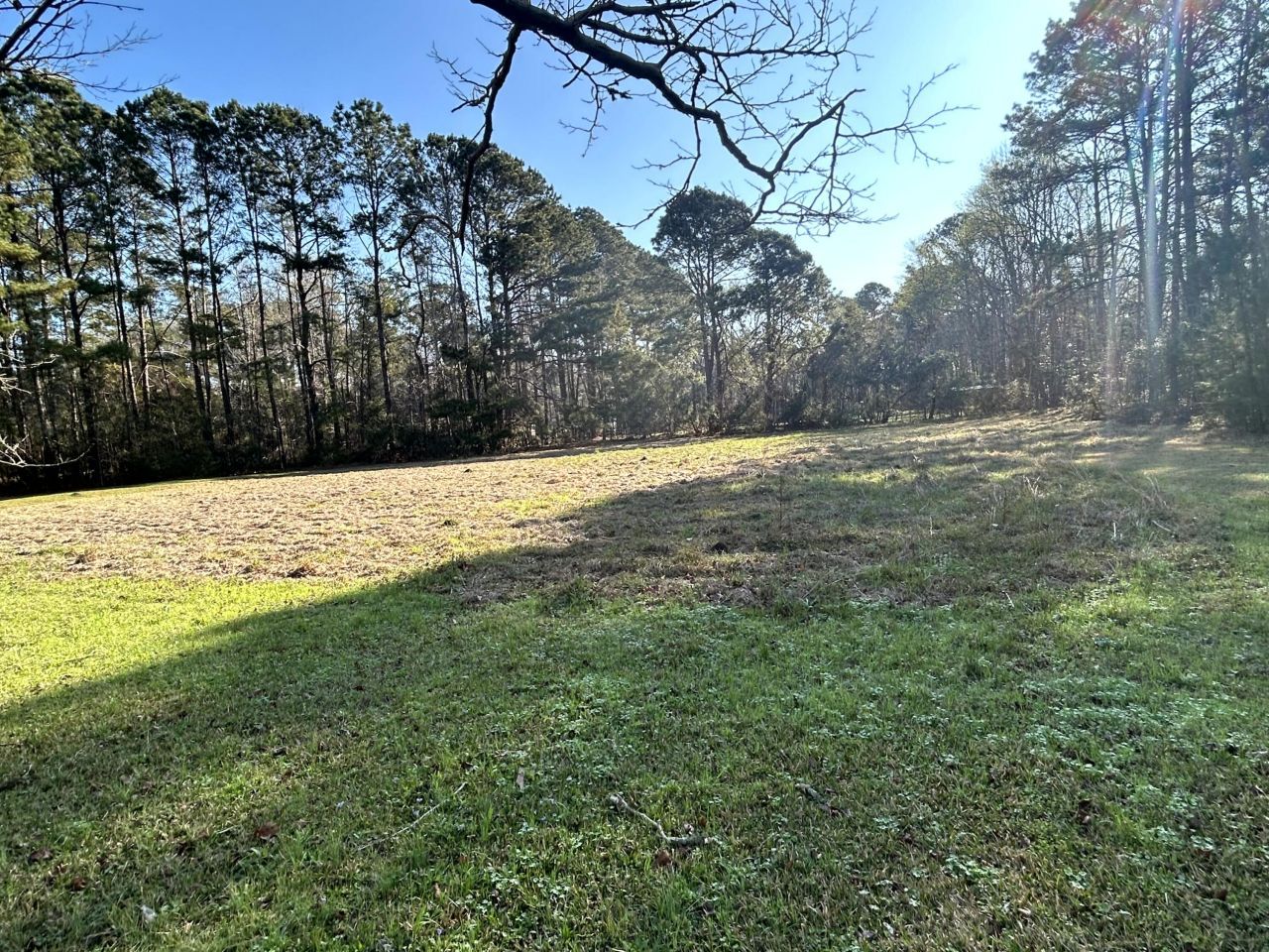 5933 Dixie Plantation Road Photo 36