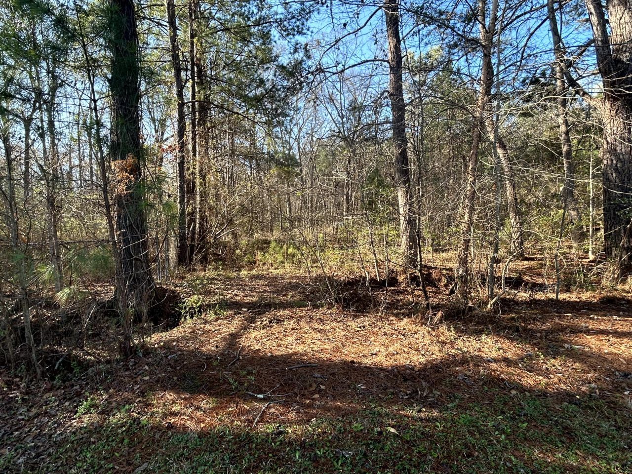 5933 Dixie Plantation Road Photo 39