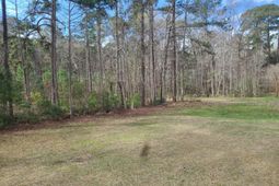 5933 Dixie Plantation Road photo 4
