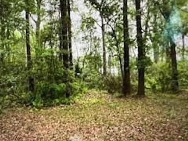 4317 ORTEGA FARMS Circle, Jacksonville, FL 32210