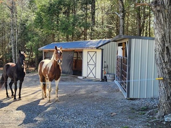 18629 Clarkrange Hwy, Monterey, TN 38574