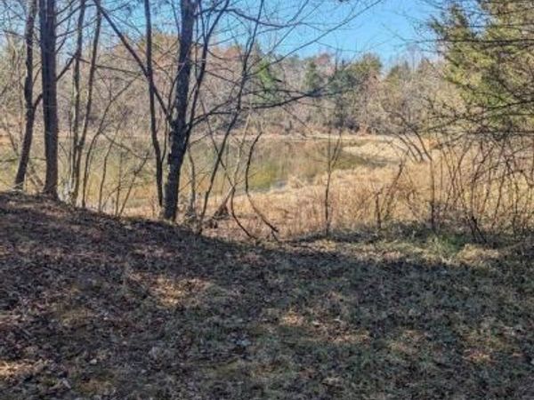 0 GOLDFINCH CT, SCOTTSVILLE, VA 24590