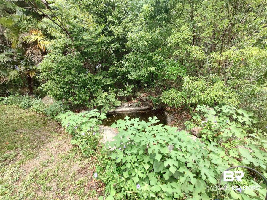 Property Image 92