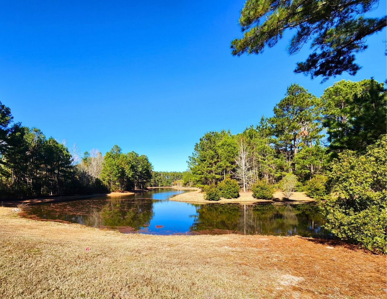 344 Somerset Drive Photo 21