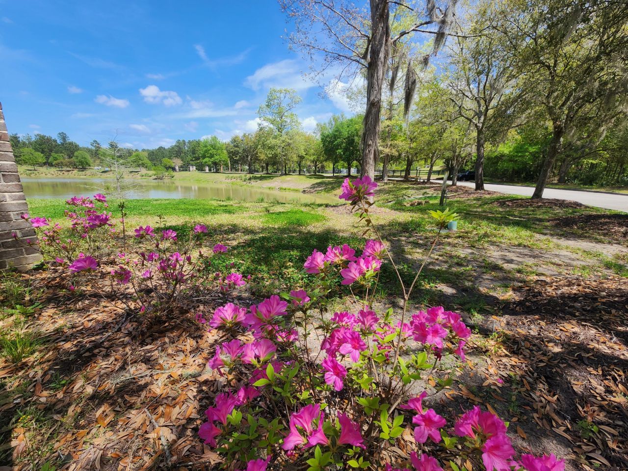 344 Somerset Drive Photo 22