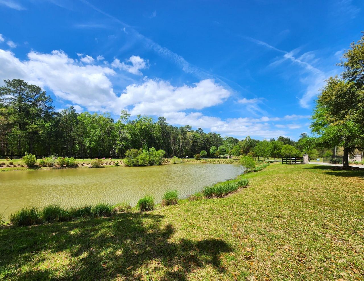 344 Somerset Drive Photo 24