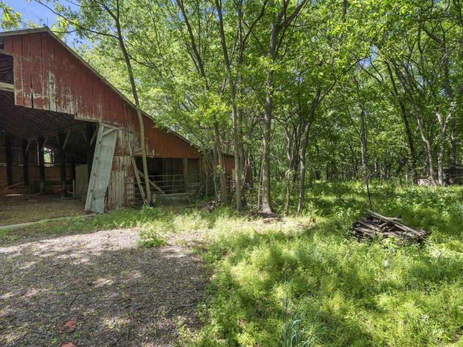 Property Image 37