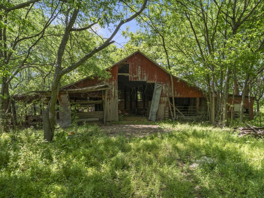 Property Image 38