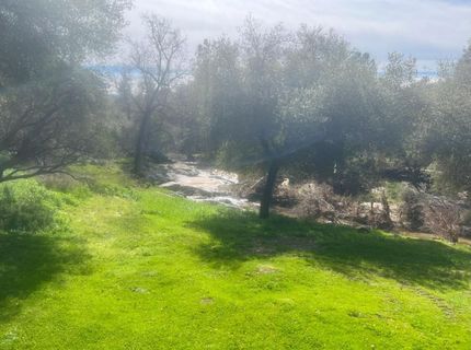 140040 Vincent Fire Road, Tollhouse, CA 93667 Photo