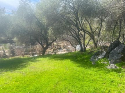 140040 Vincent Fire Road, Tollhouse, CA 93667 Photo