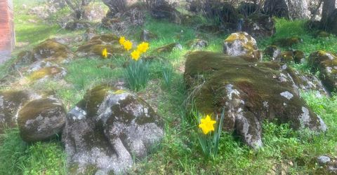 140040 Vincent Fire Road, Tollhouse, CA 93667 Photo