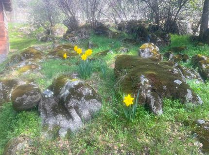 140040 Vincent Fire Road, Tollhouse, CA 93667 Photo