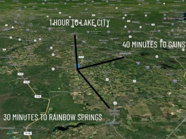 122ND AVE , WILLISTON, FL 32696