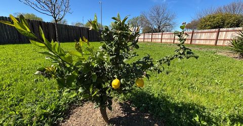 9328 Aizenberg Cir, Elk Grove, CA 95624 Photo