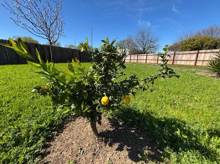 9328 Aizenberg Cir, Elk Grove, CA 95624 Photo