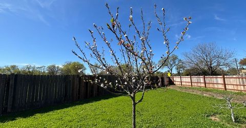 9328 Aizenberg Cir, Elk Grove, CA 95624 Photo