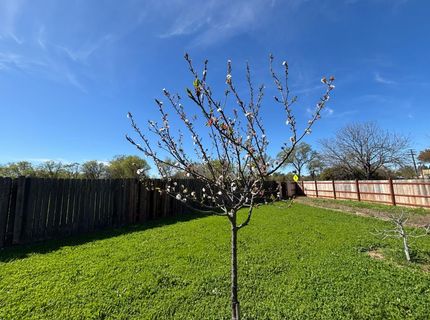 9328 Aizenberg Cir, Elk Grove, CA 95624 Photo