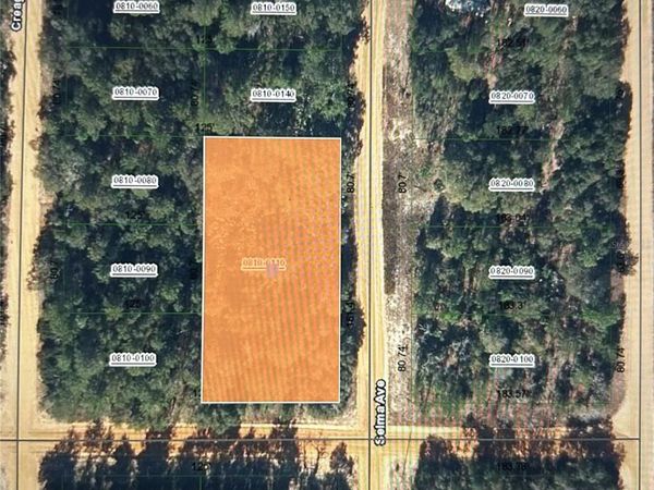 00 SELMA AVE , INTERLACHEN, FL 32148