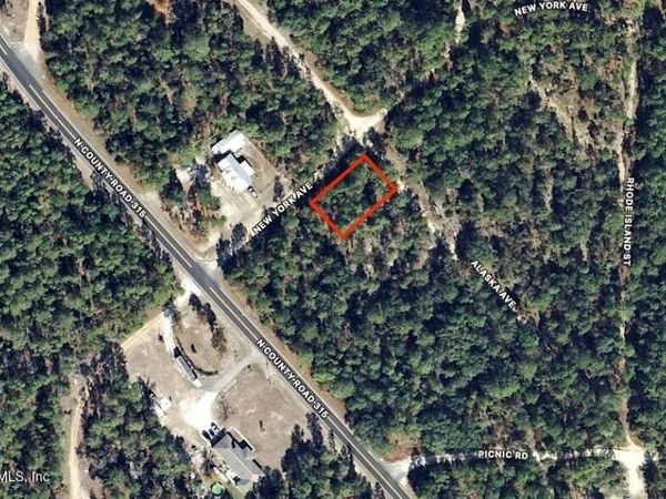 0 ALASKA Avenue, Interlachen, FL 32148