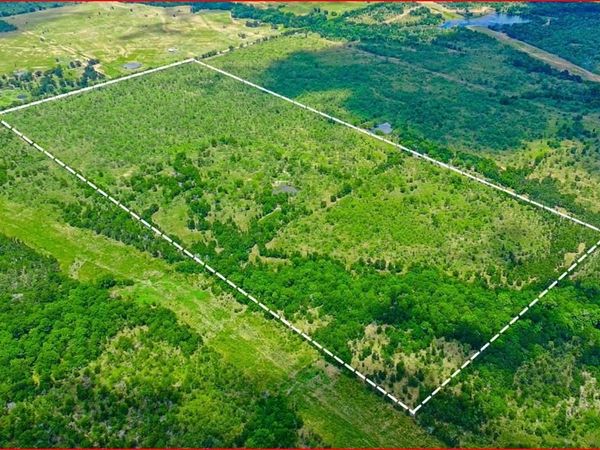 TBD FCR 995, Wortham, TX 76693