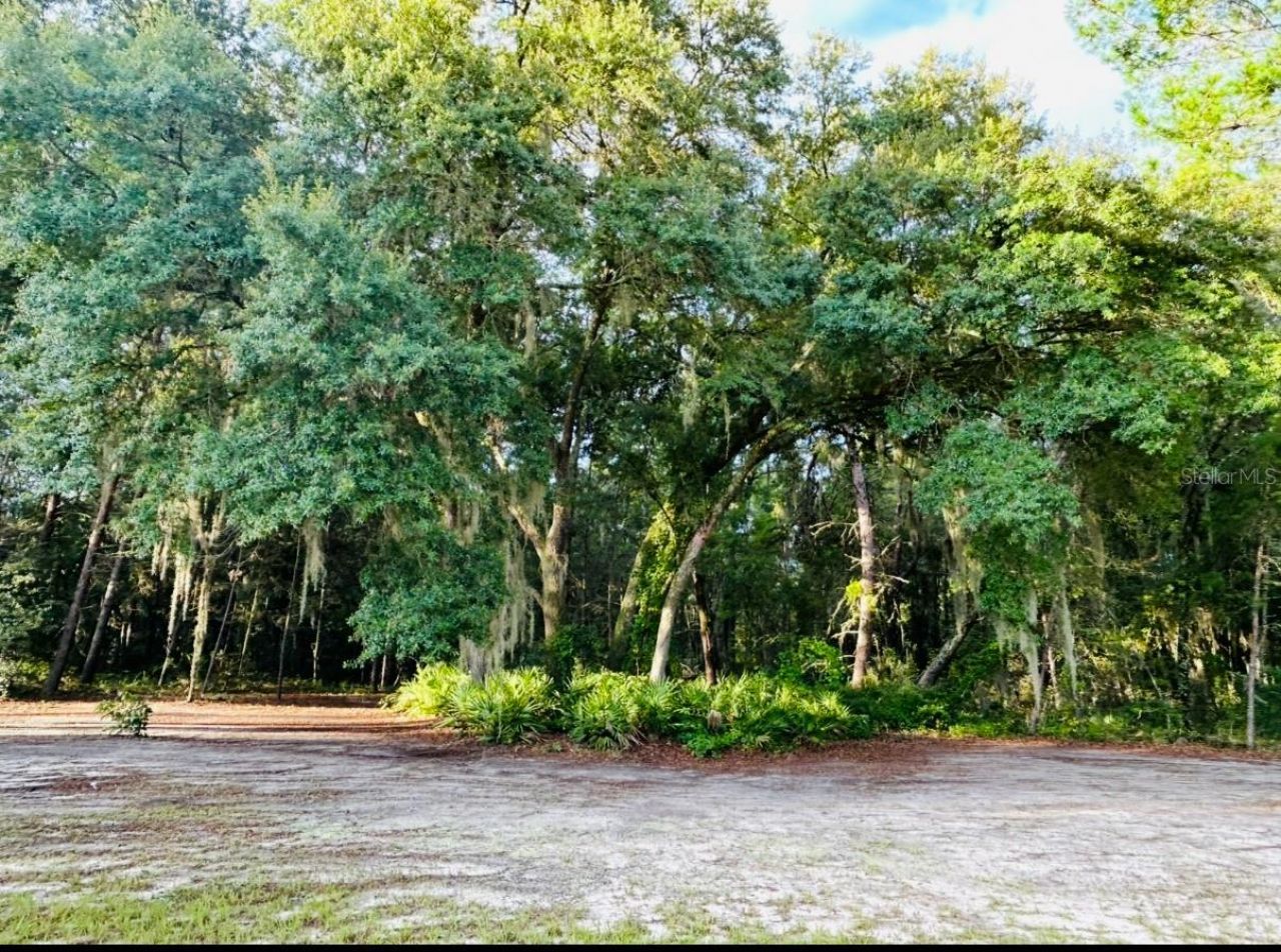 799 Marion Oaks Lane, Ocala, FL 34473 Photo