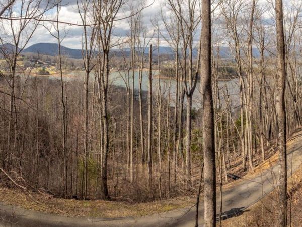 0 Frog Pond Road, Hiawassee, GA 30546