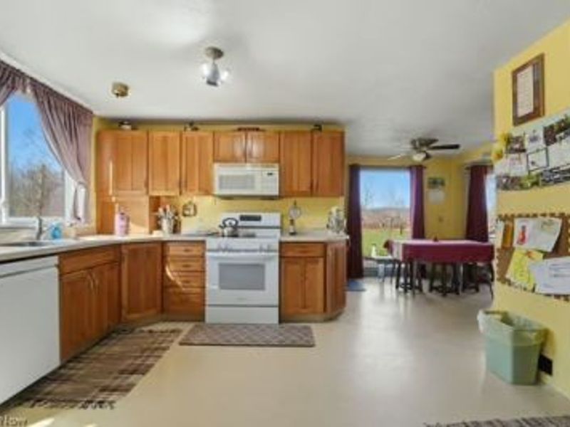 1589 State Route 46, Jefferson, OH 44047 Photo 23