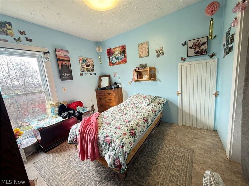 1589 State Route 46 , Jefferson, OH 44047 Photo 27