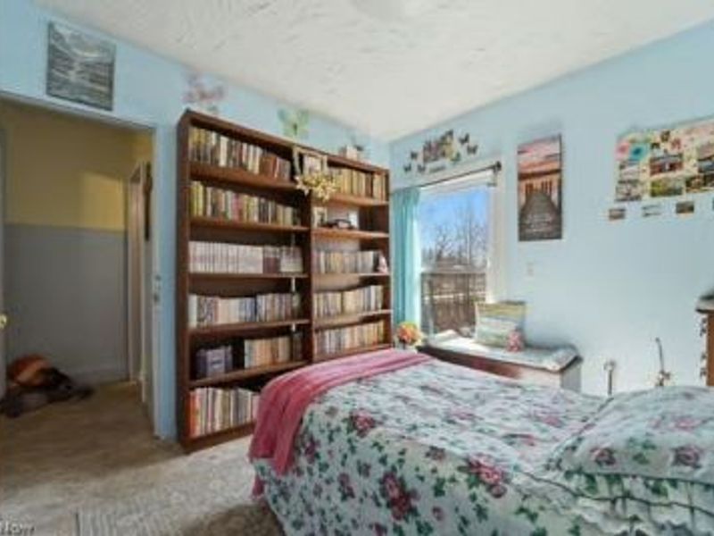 1589 State Route 46, Jefferson, OH 44047 Photo 31