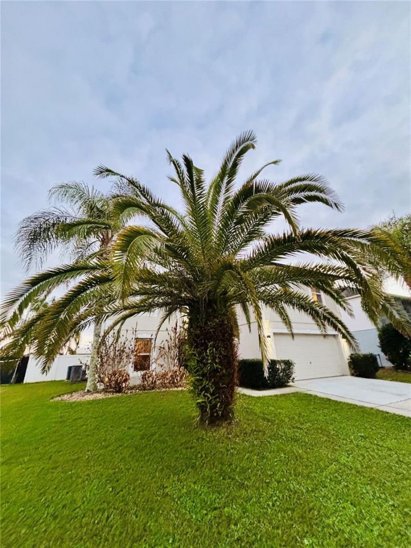 307 Velveteen Place, Chuluota, FL 32766 Photo