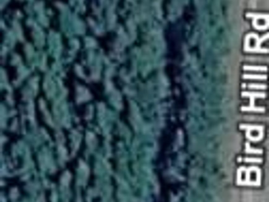 0 Bird Hill Road, Stockton, MD 21864 Main Photo