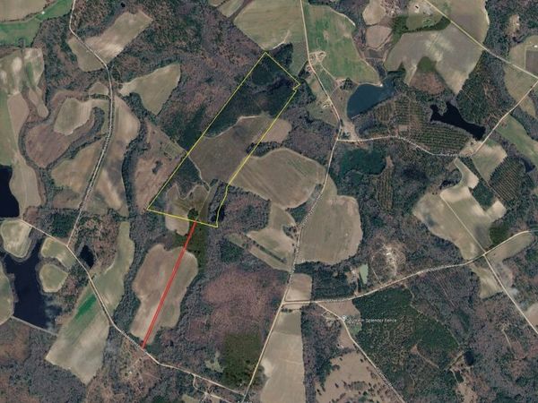 0 Poplar Springs Ch Road, Portal, GA 30450