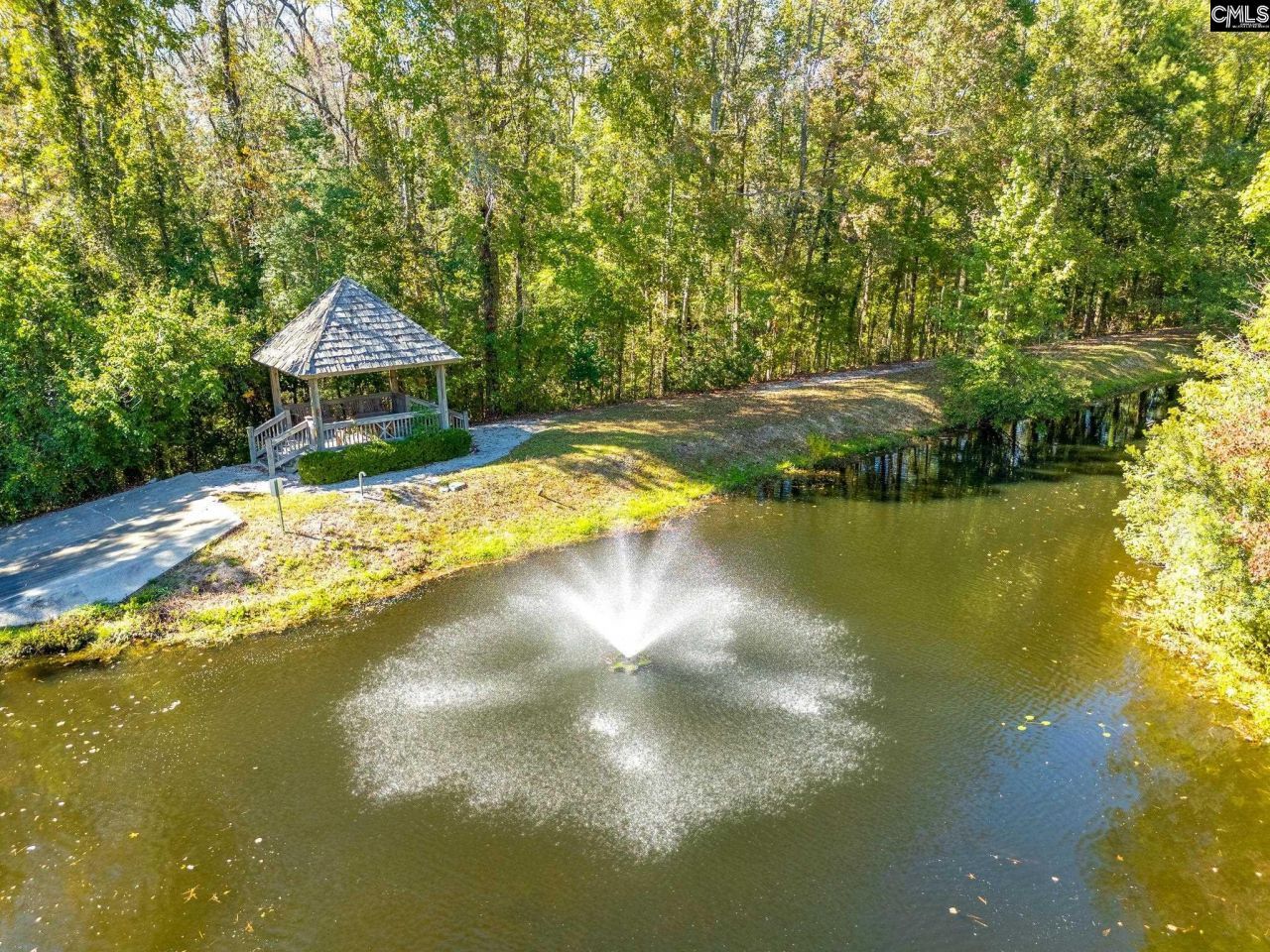 165 Preserve Lane  Photo 42