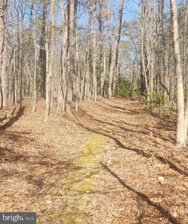 0 Dogwood Ln, Bentonville, VA 22610 Main Photo